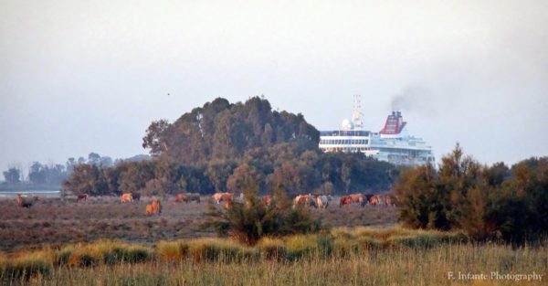 rincones, Guadalquivir, dragado